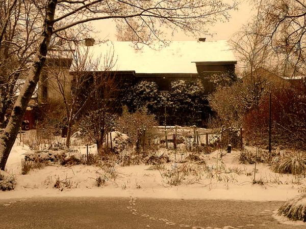Neige 2009-2 017