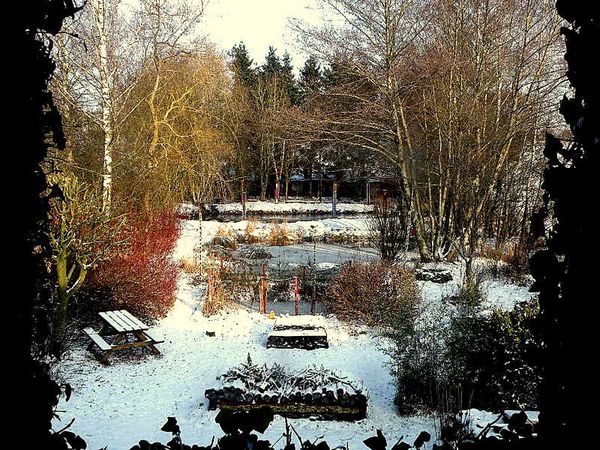 Pie et Neige 4-1-10 006