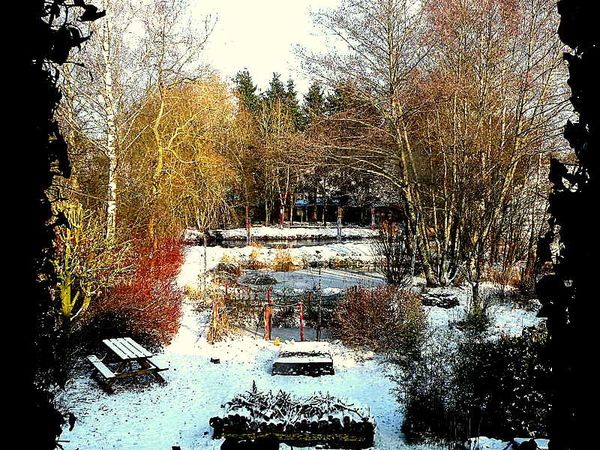 Pie et Neige 4-1-10 012