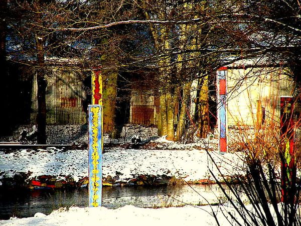 Pie et Neige 4-1-10 016
