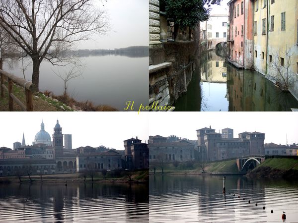 2010-01-16-Mantova-sul lago