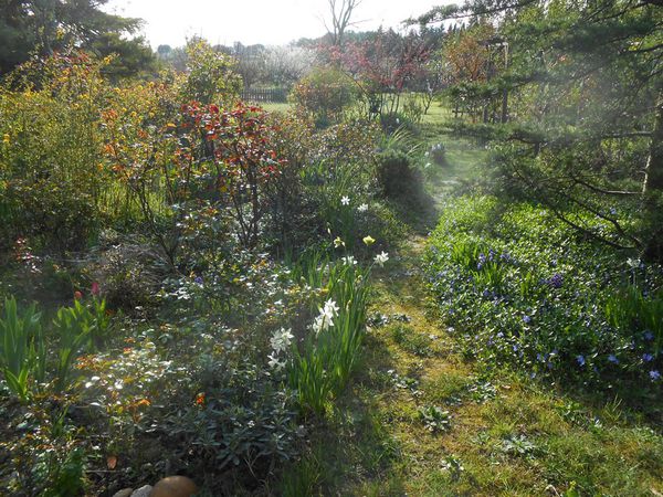 au-jardin-20-Mars-2014-003.JPG