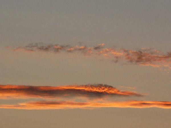 P1030854.jpg
