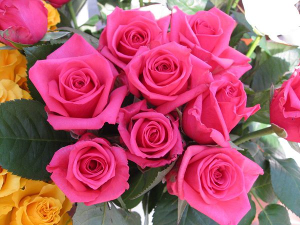 roses-wallpaper-roses-bouquets4315.jpg