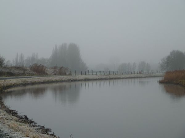 canal marchiennes brouillard 028bis