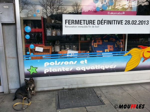 Janvier 2013 (3)r copie