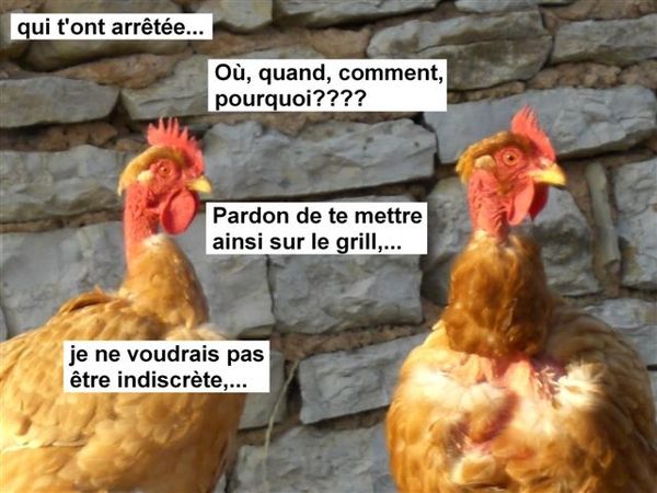 3canards2008 (56)