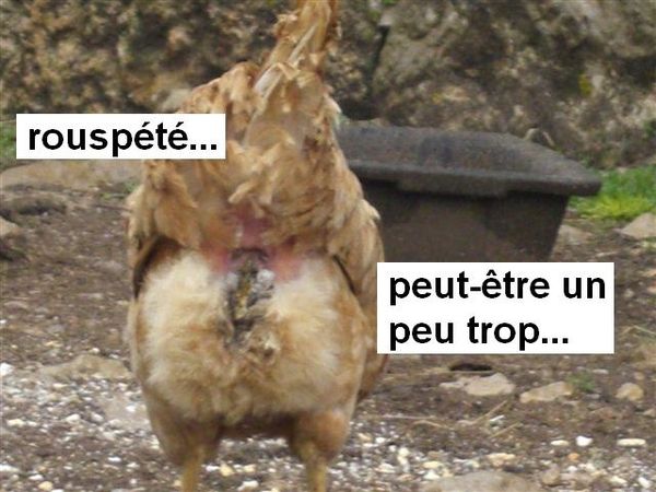 10CotttttMai08 096
