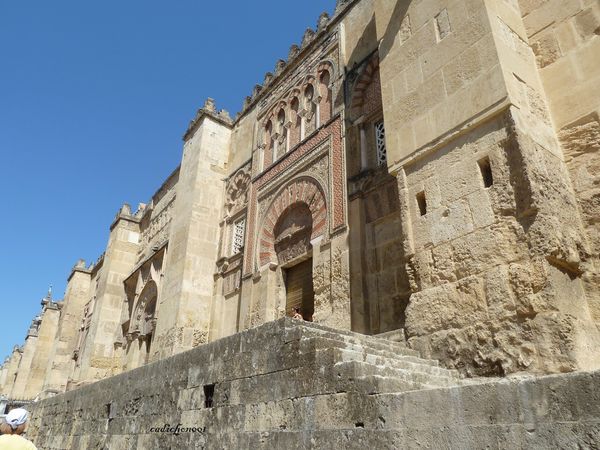 P1020279.JPG