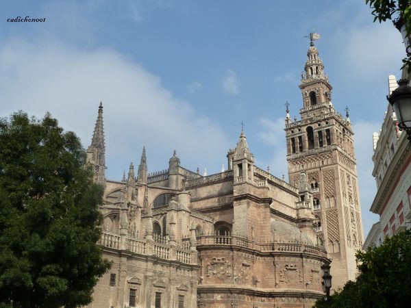 P1020363.JPG