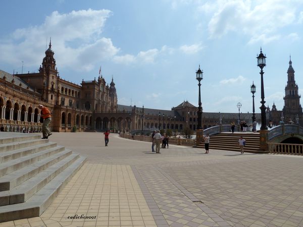 P1020407.JPG