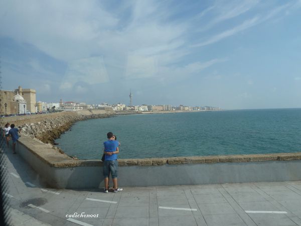 P1020417-copie-1.JPG