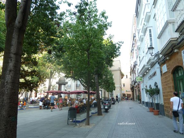 P1020432.JPG