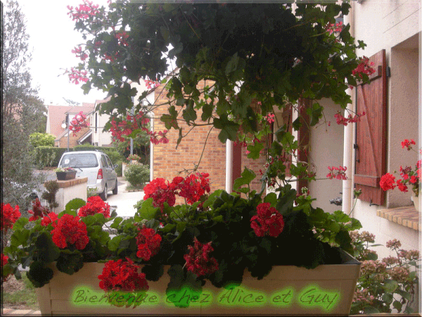 Bienvenue.gif