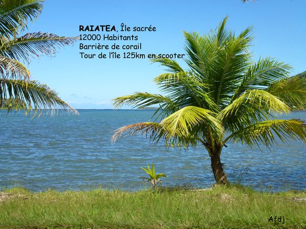 02-RAietea-titre.jpg