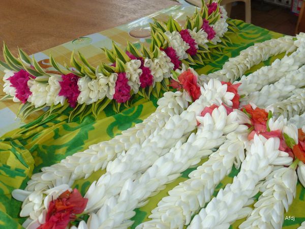 MOOREA-938