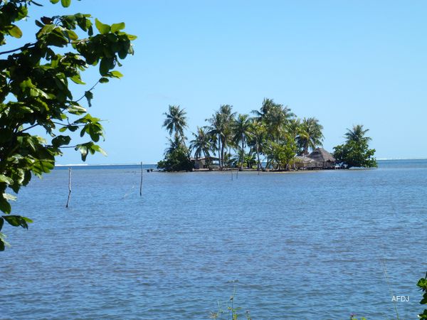 02-RAIETEA-île