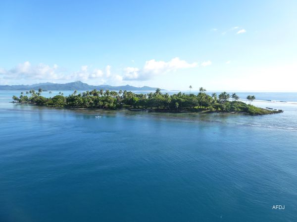02-RAietea-île-P1020449