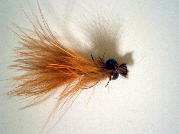 la rousse mouche a carpe