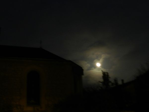 RSCN2384.JPG