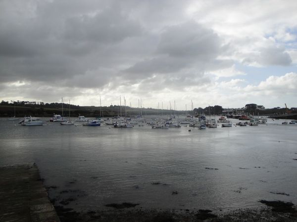 DSC00354