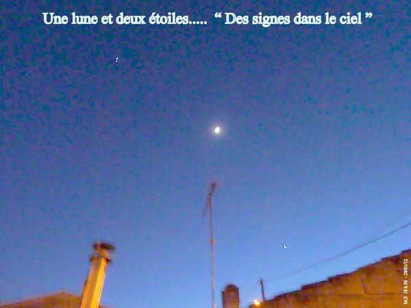 28-01-12-007.jpg