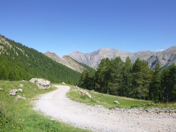 P1000874.JPG