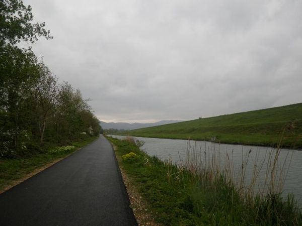 IMGP1195.JPG