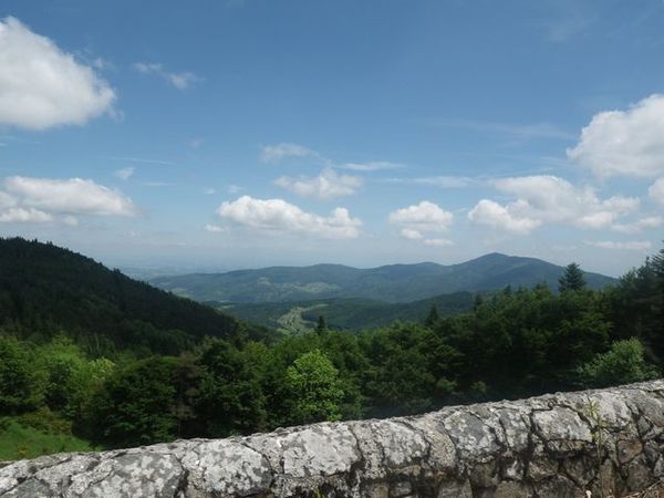 IMGP1740.JPG