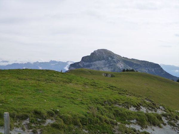 P1010818.JPG