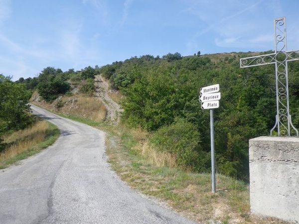 IMGP3146.JPG