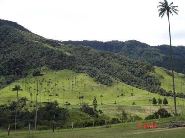 colombia-eje-cafetalero-2013.jpg