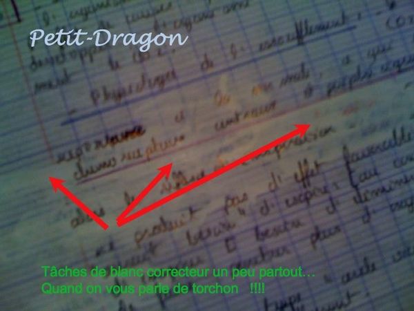 Diapositive1-copie-9