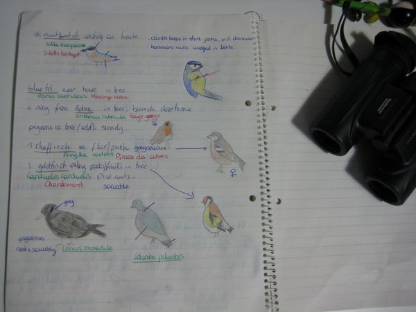 birds-in-januray.jpg