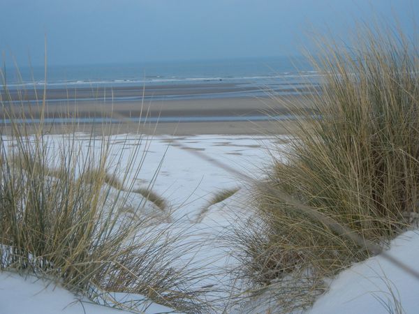 givre-et-neige-dans-les-dunes-018--2-.jpg