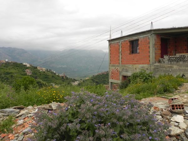 Kabylie 2010 085