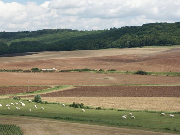 campagne-Canner.jpg