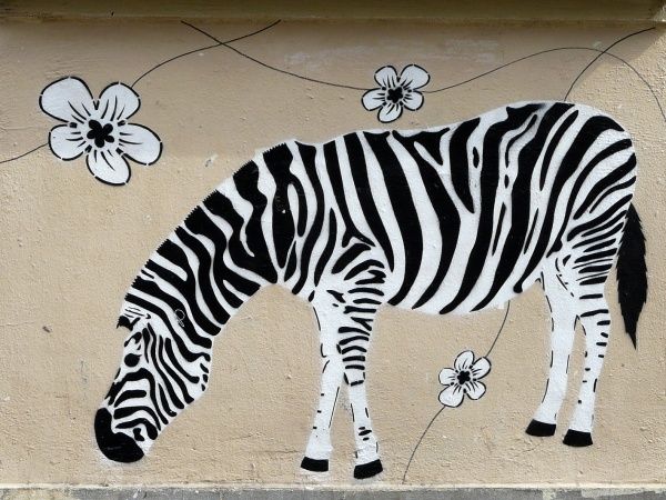 Rencontre agoraphobe