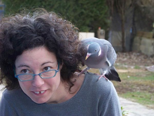 005-Adeline-et-le-pigeon-jpg