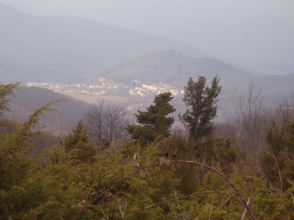 21-fevrier-009.jpg