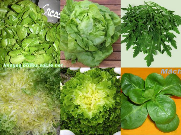 salades.jpg