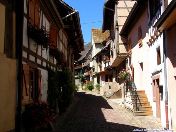 Eguisheim (13)