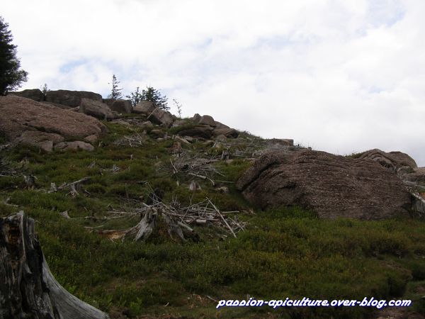 4 le rocher de Mutzig