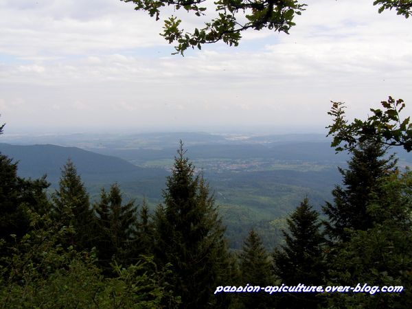 8 Vue Porte de pierre