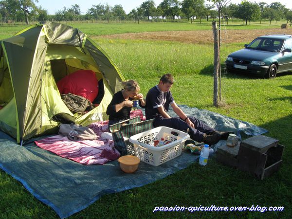 Camping au rucher (1)