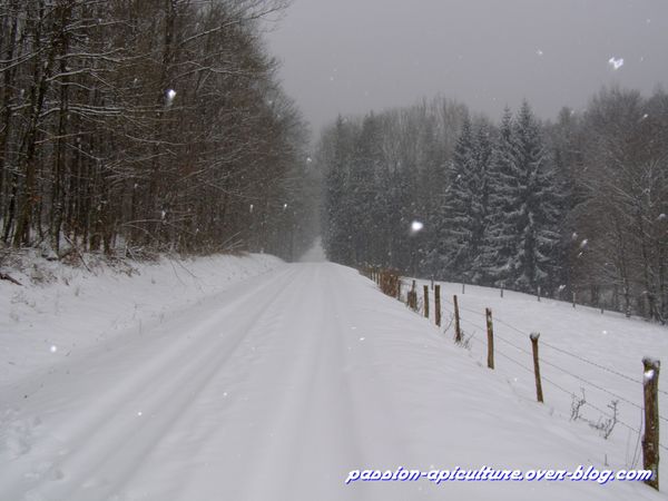 Neige 11.03.10 (9)