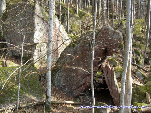 Mystérieux rocher (1)