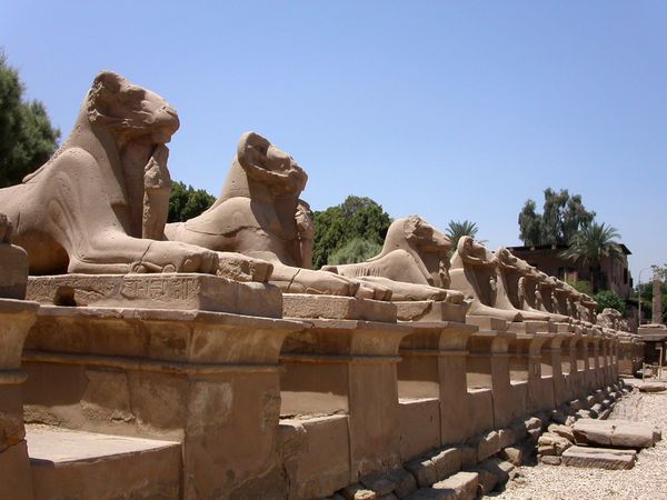 Allee des sphinx louxor