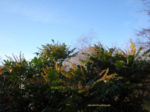 DSC00272.jpg