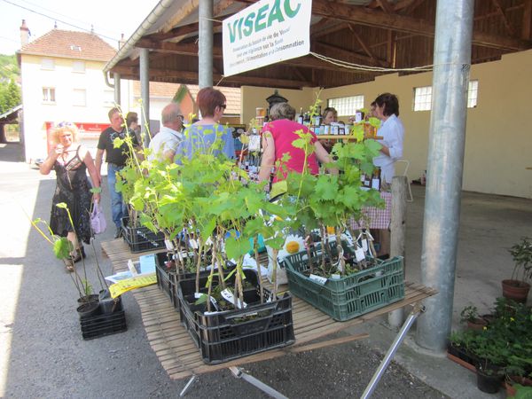 EVENEMENTS-PRINTEMPS-2011-007.jpg